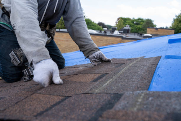 Gutter Installation and Roofing in Lumberton, TX